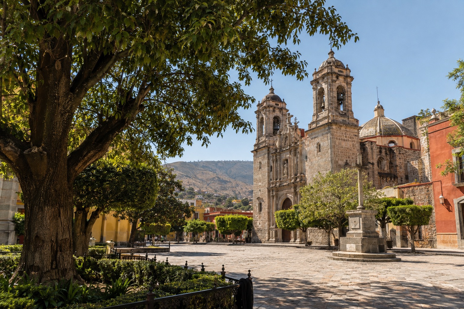 Laurel trees shading a city plaza with a stone cathedral in the background