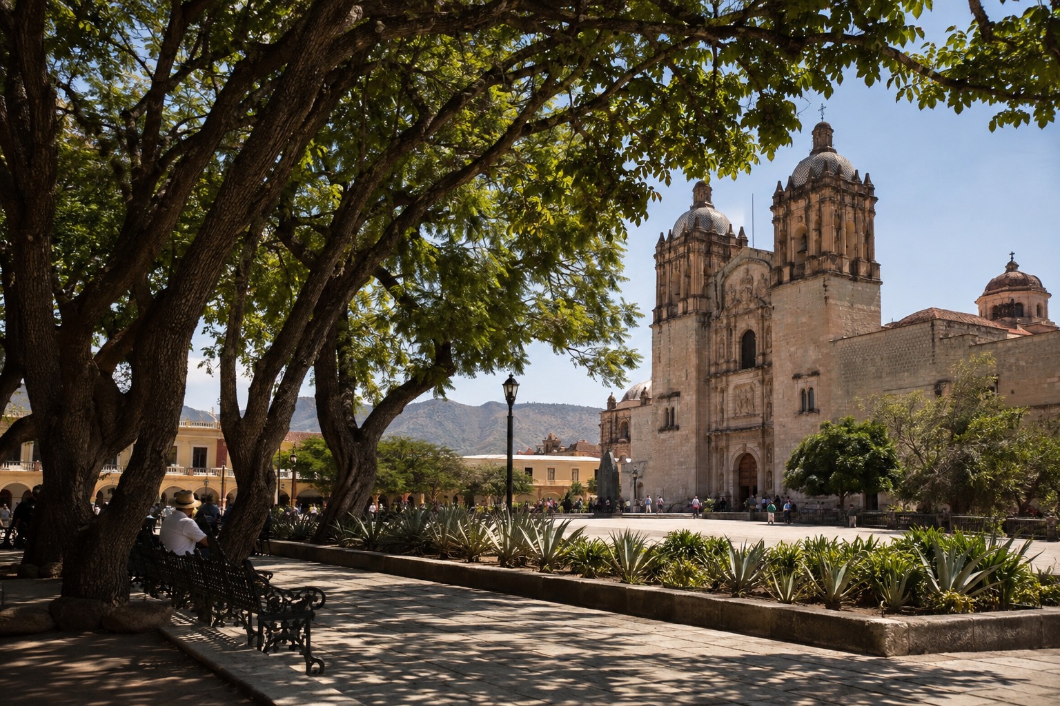 Laurel trees shading the Zocalo of Oaxaca city, with the cathedral in the background
