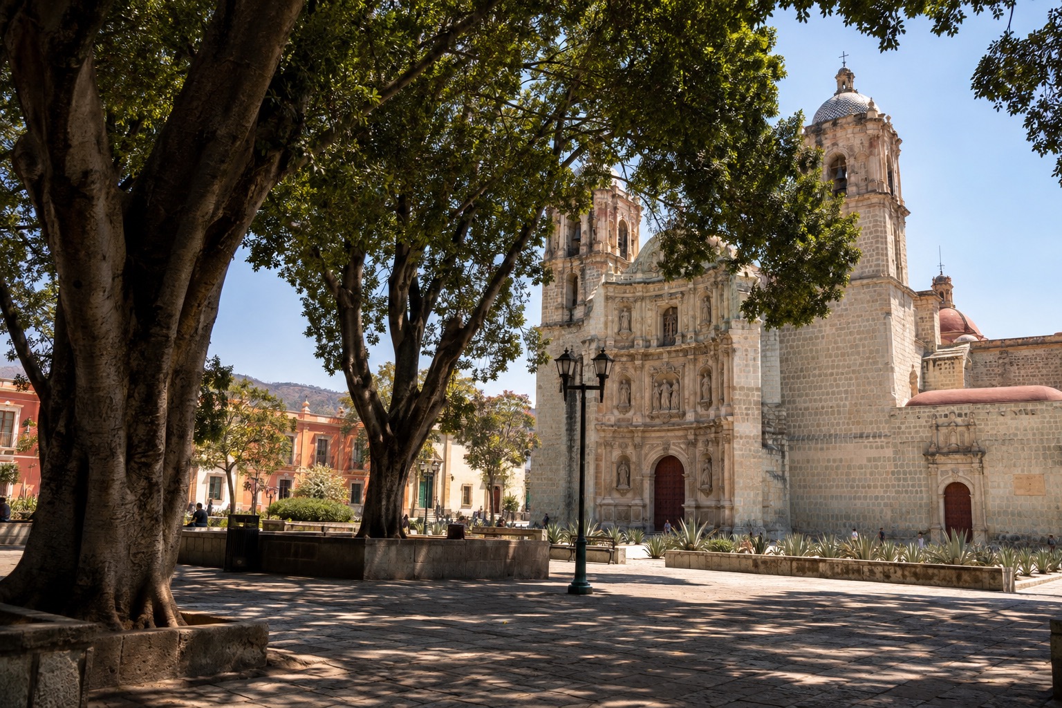 Laurel trees shading the Zócalo of Oaxaca city with the cathedral facade behind