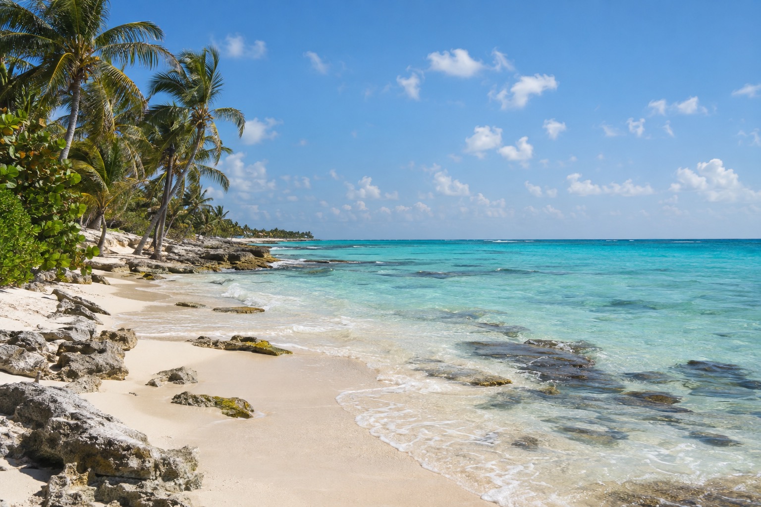 Empty morning beach with turquoise Caribbean water and palm trees along the Playa del Carmen shoreline