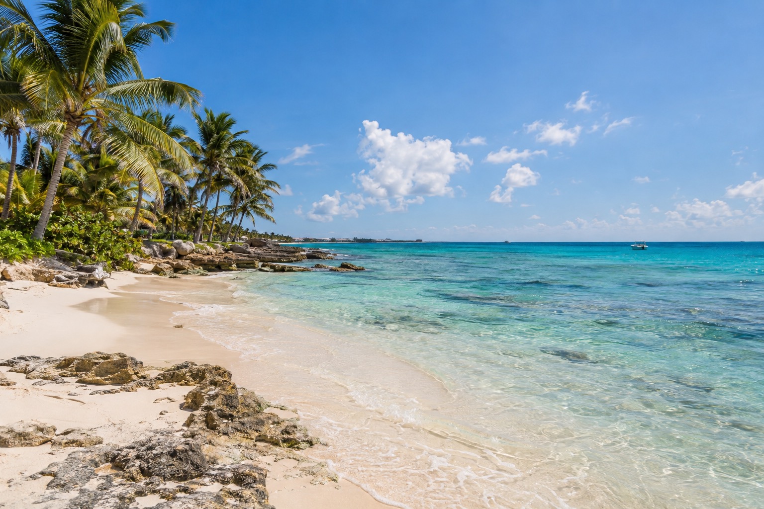 Turquoise Caribbean water meeting a white sand beach with palm trees at Playa del Carmen