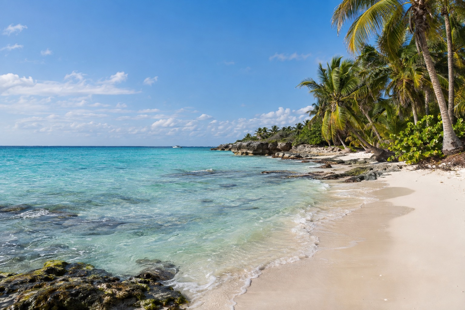 Turquoise water and a palm-lined beach along the Playa del Carmen shoreline