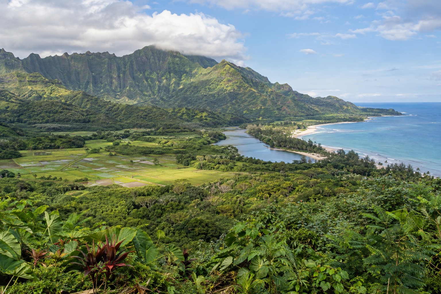 The Hanalei National Wildlife Refuge overlook along Kuhio Highway in Princeville