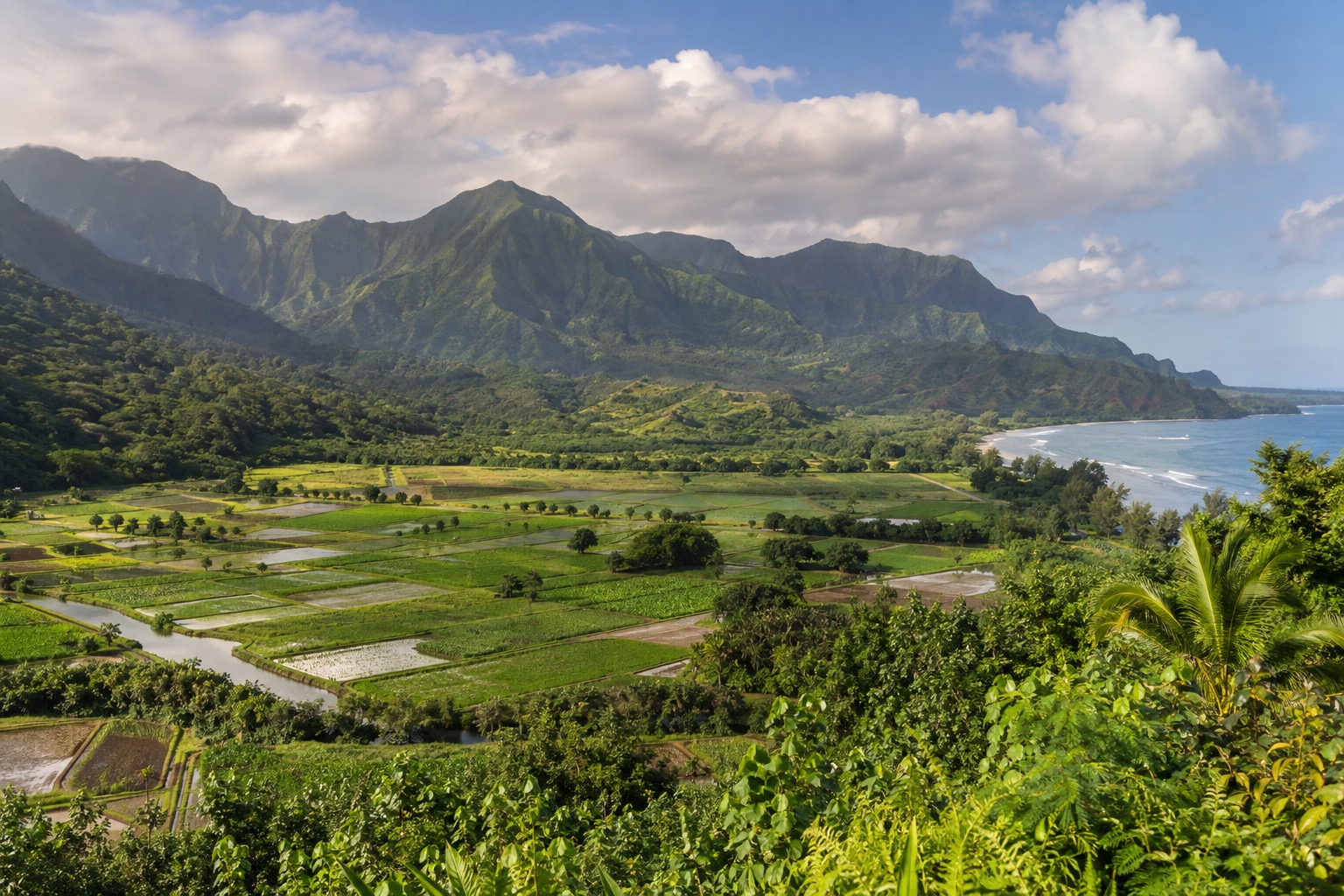 Taro fields and wetlands seen from the Hanalei Valley overlook along Kuhio Highway