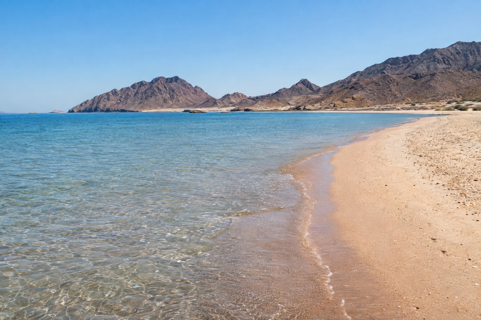 Wide sandy beach meeting calm shallow water under a clear morning sky on the Sea of Cortez
