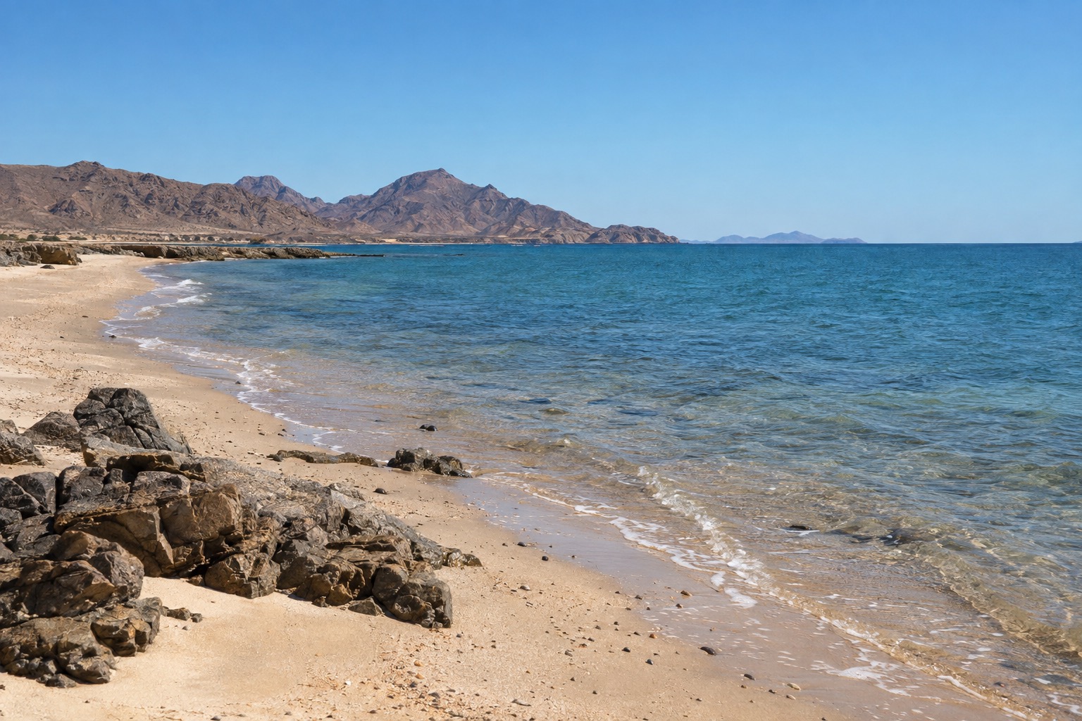 Sandy shoreline of Cholla Bay on the Sea of Cortez under a clear sky