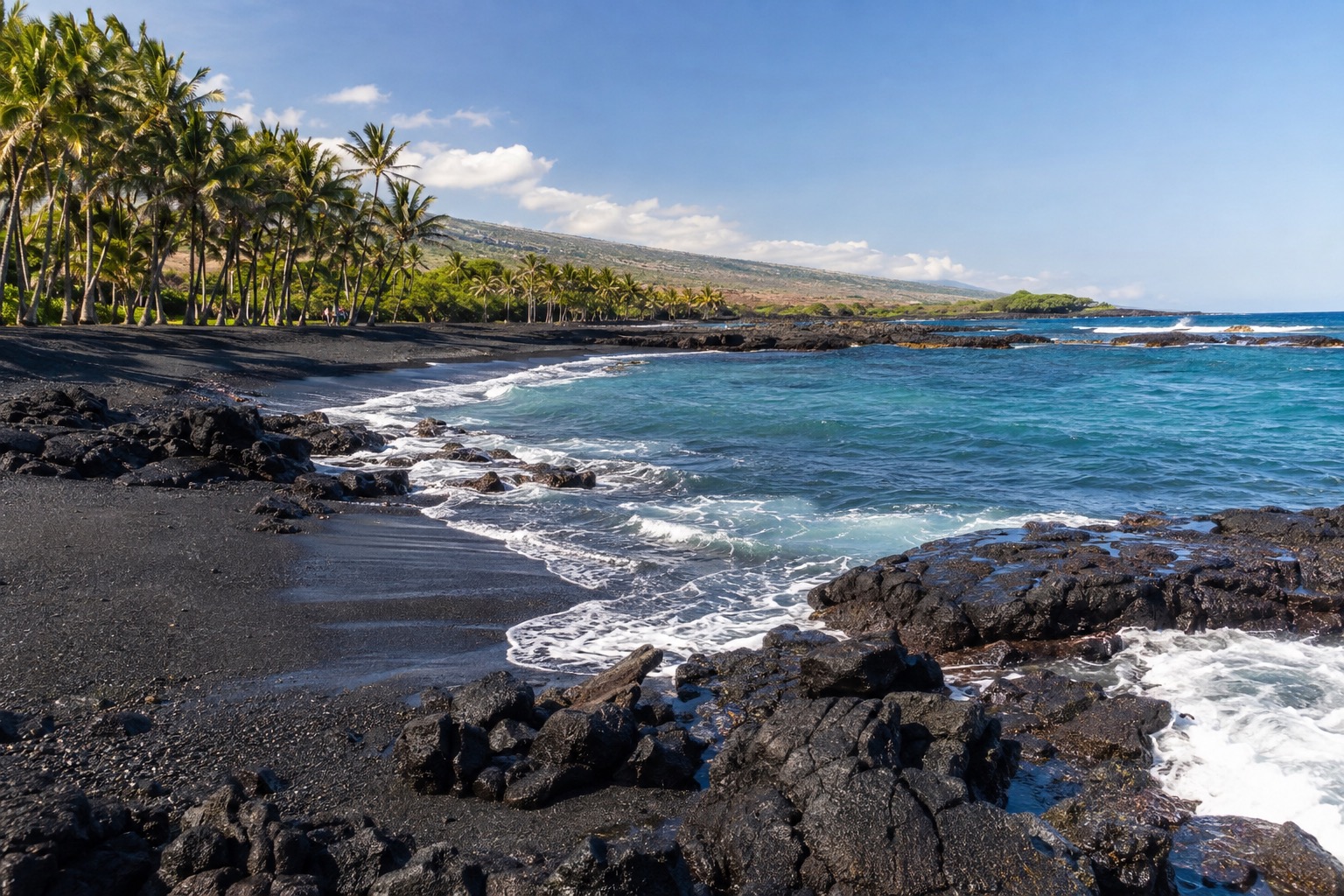 Black volcanic sand beach lined with palm trees at Punaluu on Hawaii's Big Island