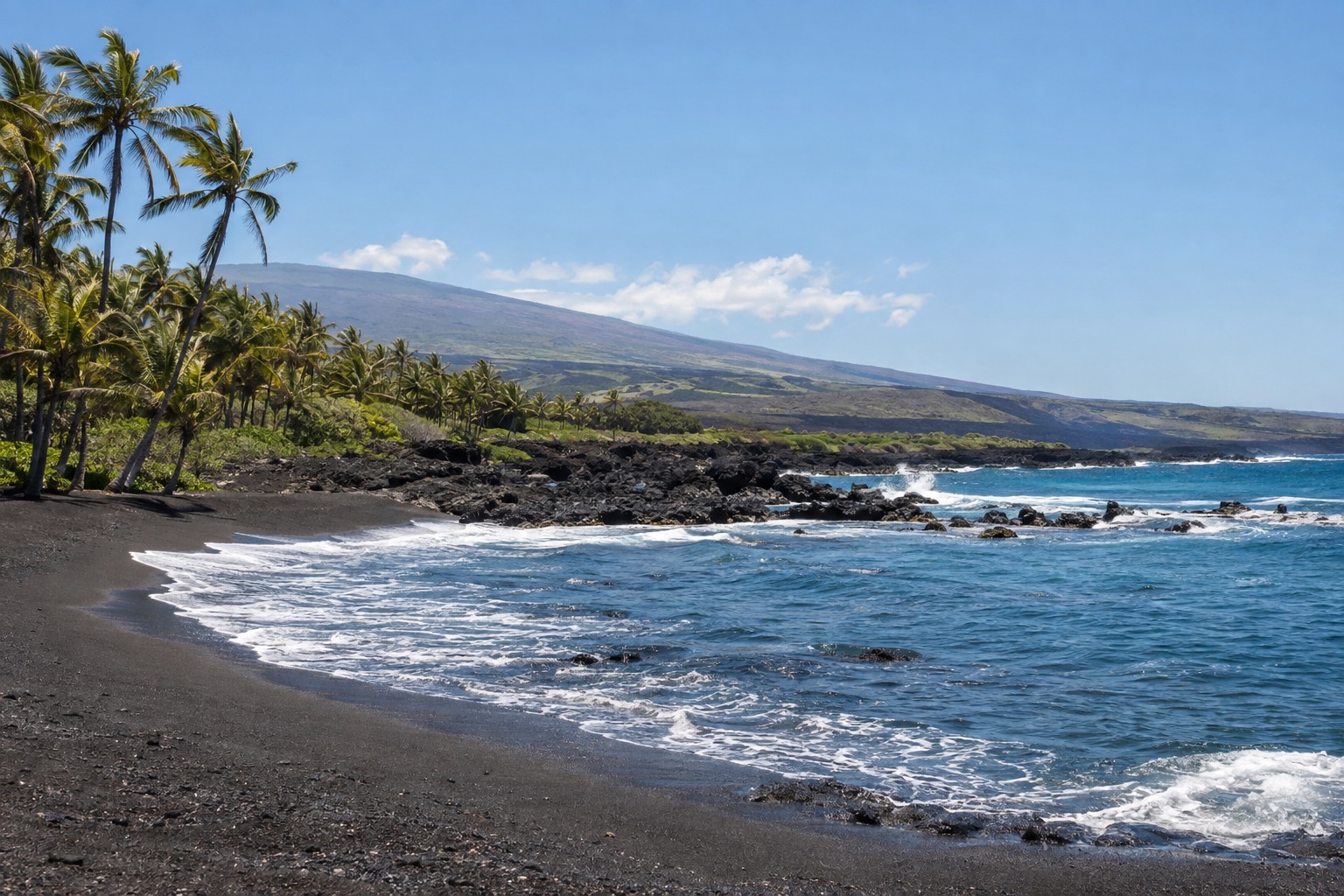Black volcanic sand beach with palm trees along the shoreline at Punaluu