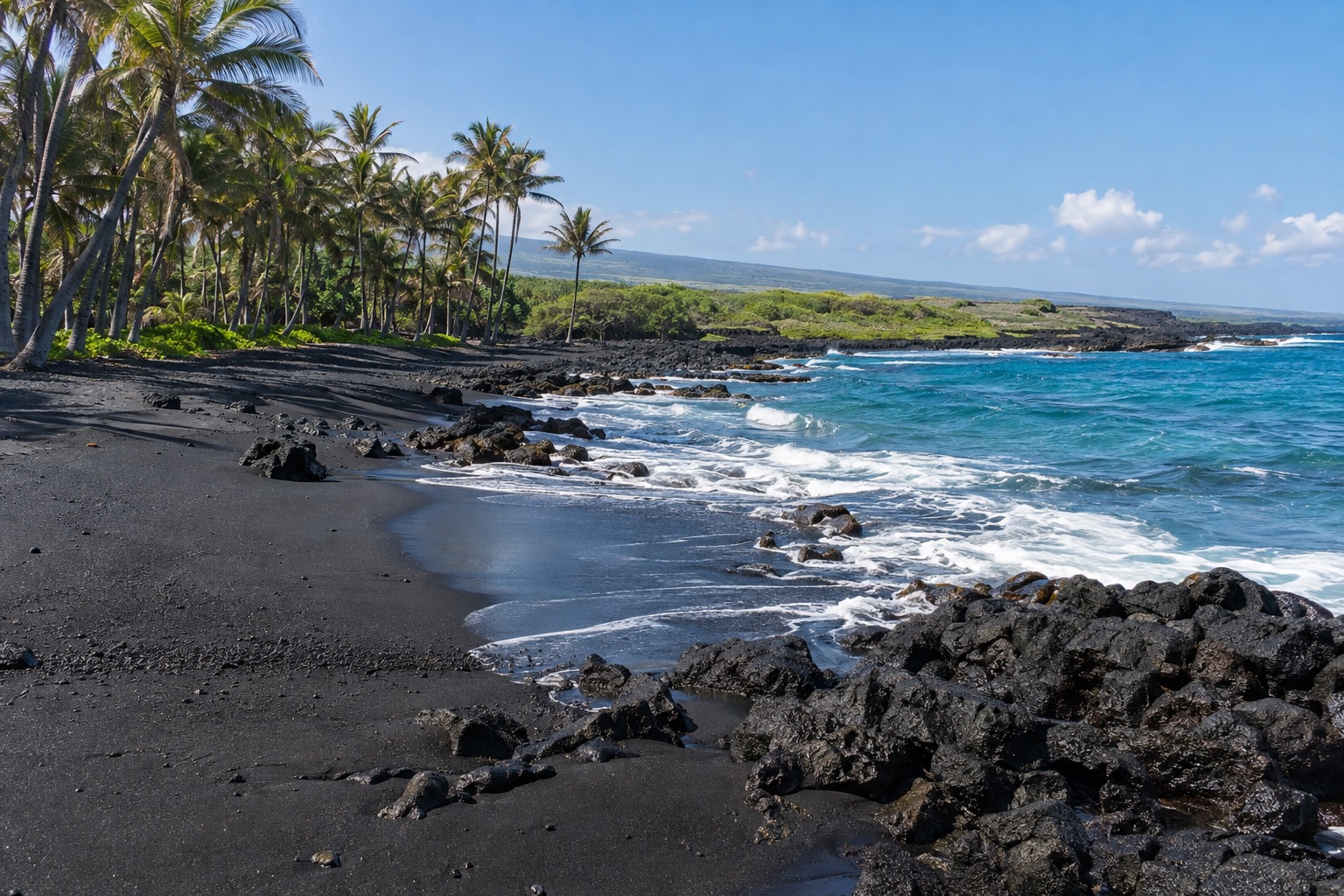 Black sand beach with waves and palm trees along Punaluu's south Big Island coast