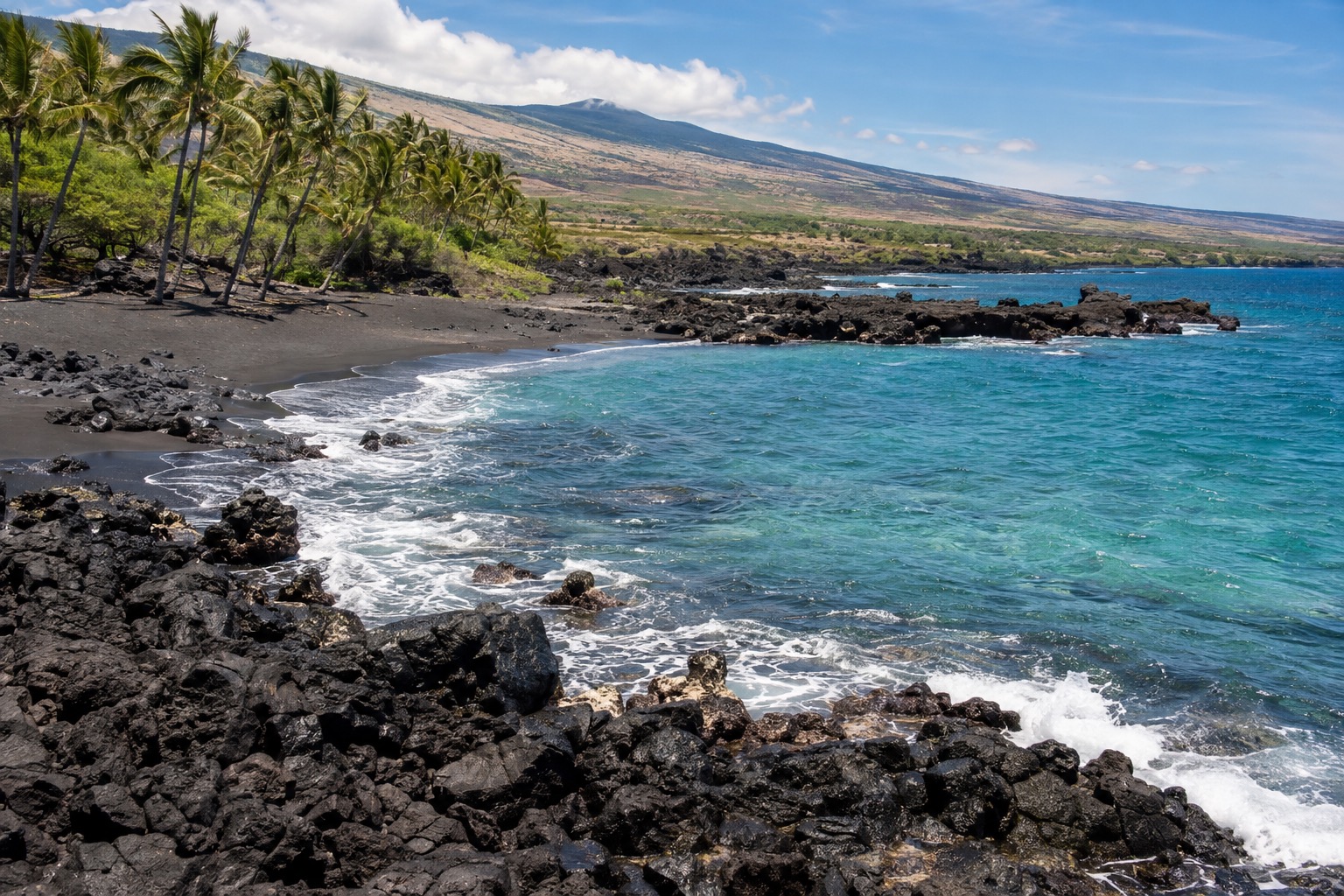 Black volcanic sand beach with coconut palms along Hawaii's south coast