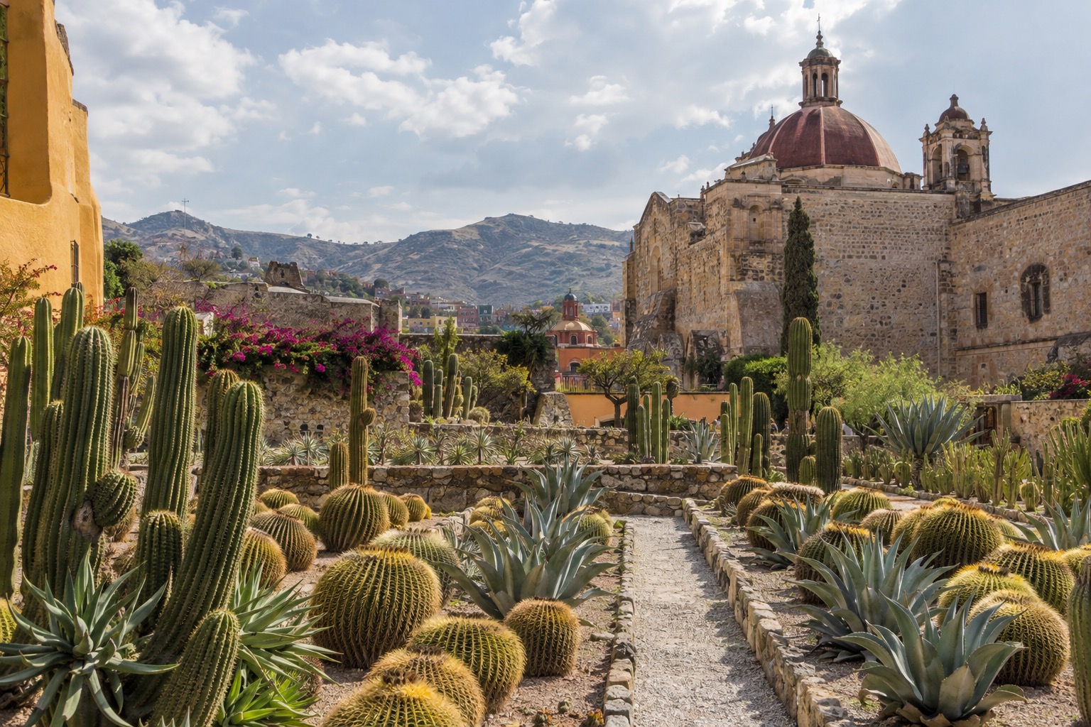 Rows of cactus and succulent plants in a botanical garden under open sky