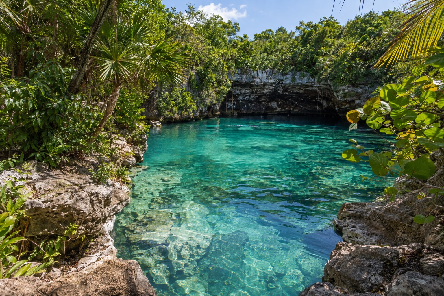 A calm freshwater cenote with clear water inside a limestone opening ringed by jungle