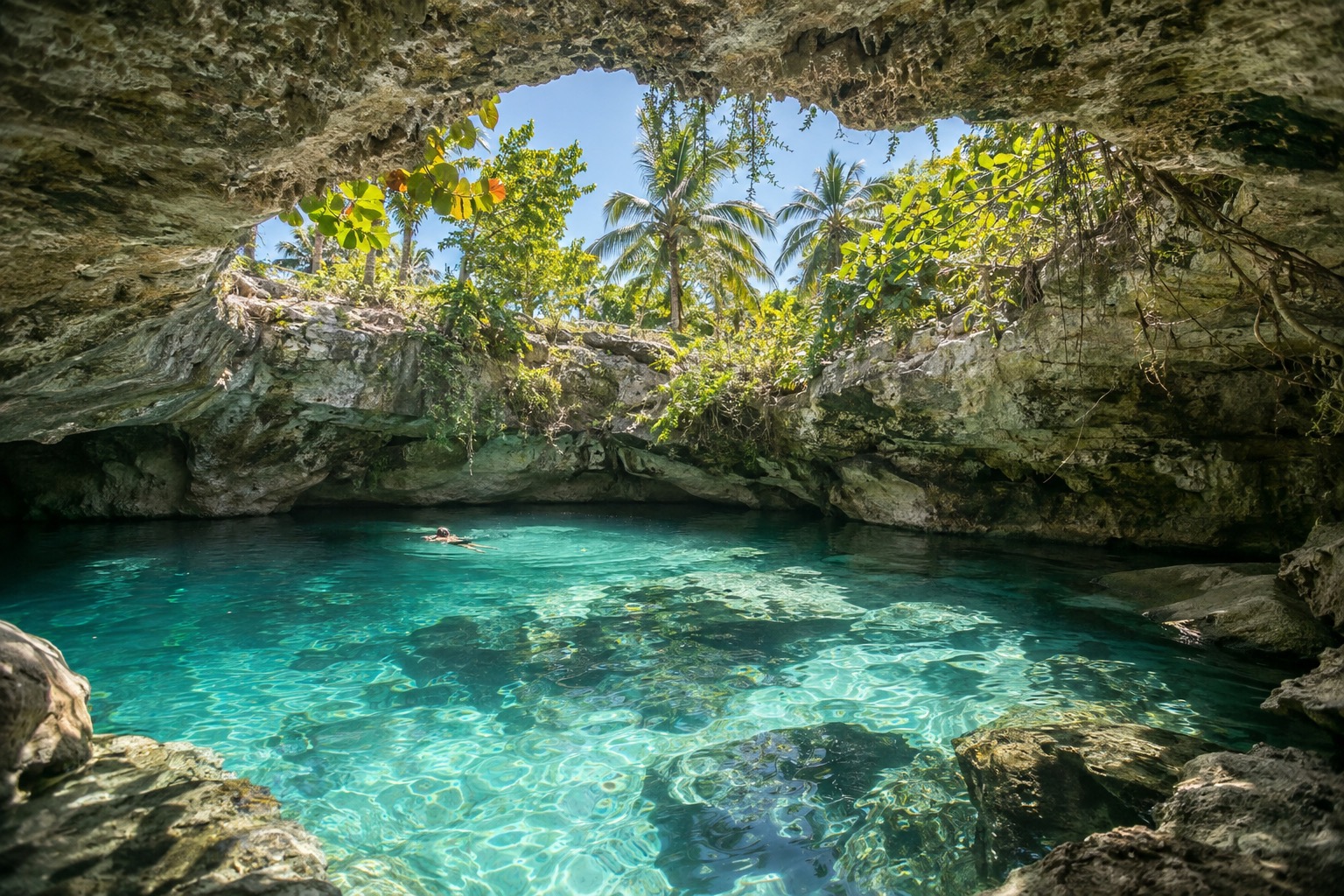 A cenote pool with clear water under an opening in the limestone near Tulum