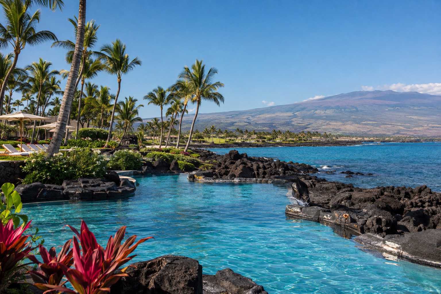 Palm-lined resort pool with lava rock landscaping under a clear December sky in Waikoloa, Hawaii