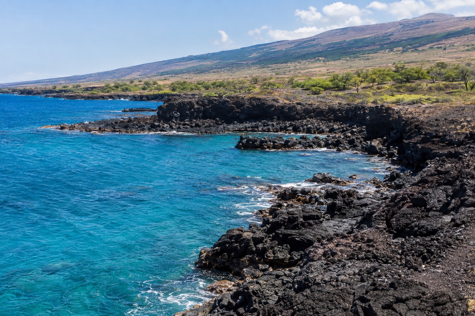 Coastal lava-rock shoreline and turquoise water along Hawaii Island's Kohala coast in daylight