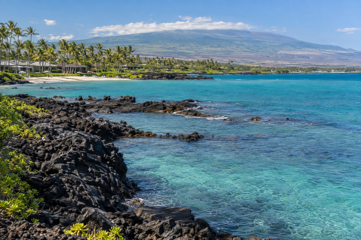 Palm-lined resort shoreline at Waikoloa with calm turquoise water