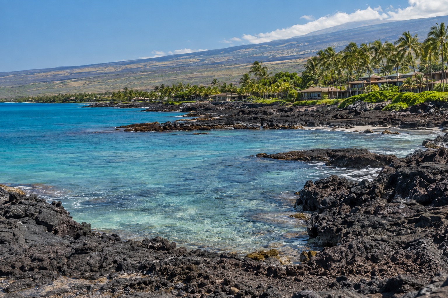 Lava rock coastline with calm turquoise water and resort palms along the Kohala coast