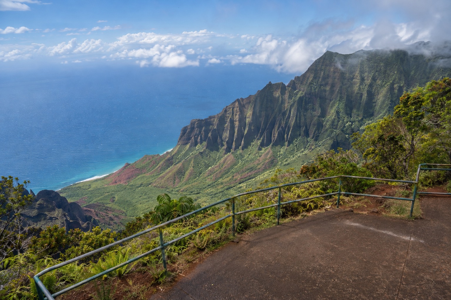 A paved overlook and railing above Waimea Canyon's forested rim