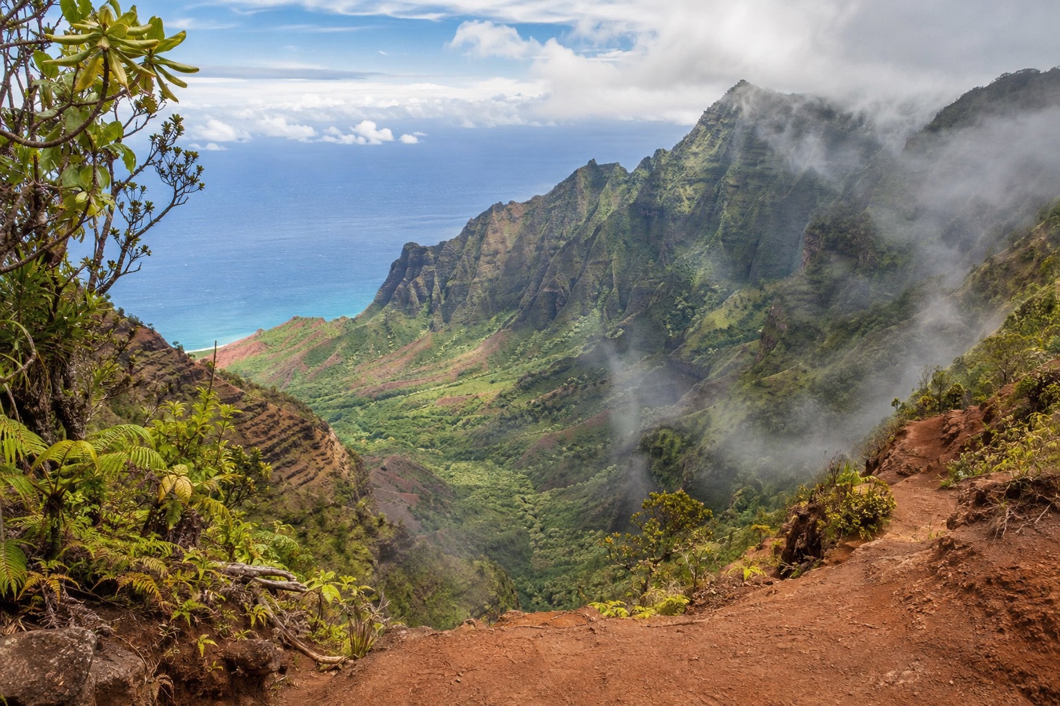 A canyon trail overlook with cliffside vegetation and mist over the valley floor