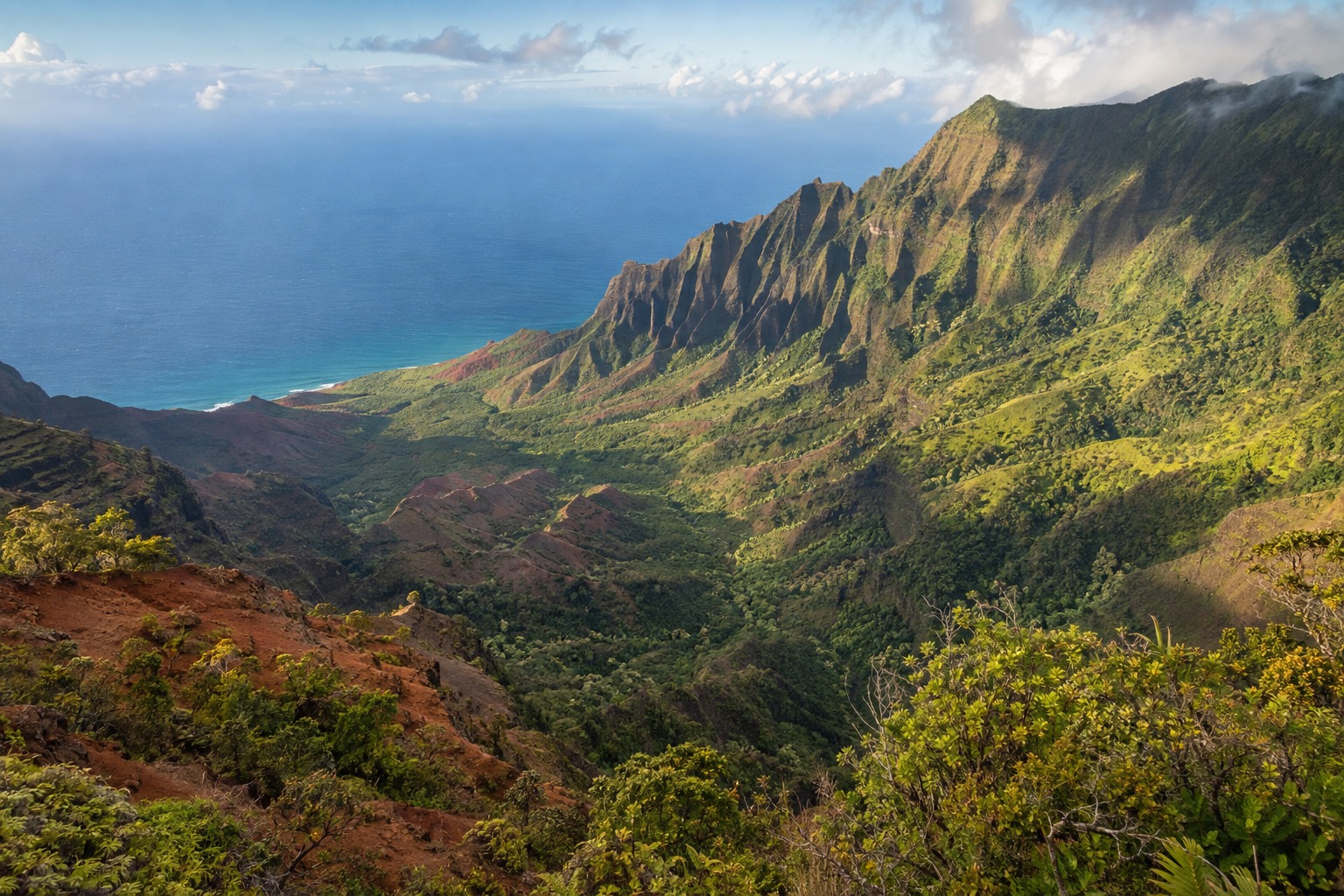 A forested valley seen from a high rim lookout with distant ridgelines