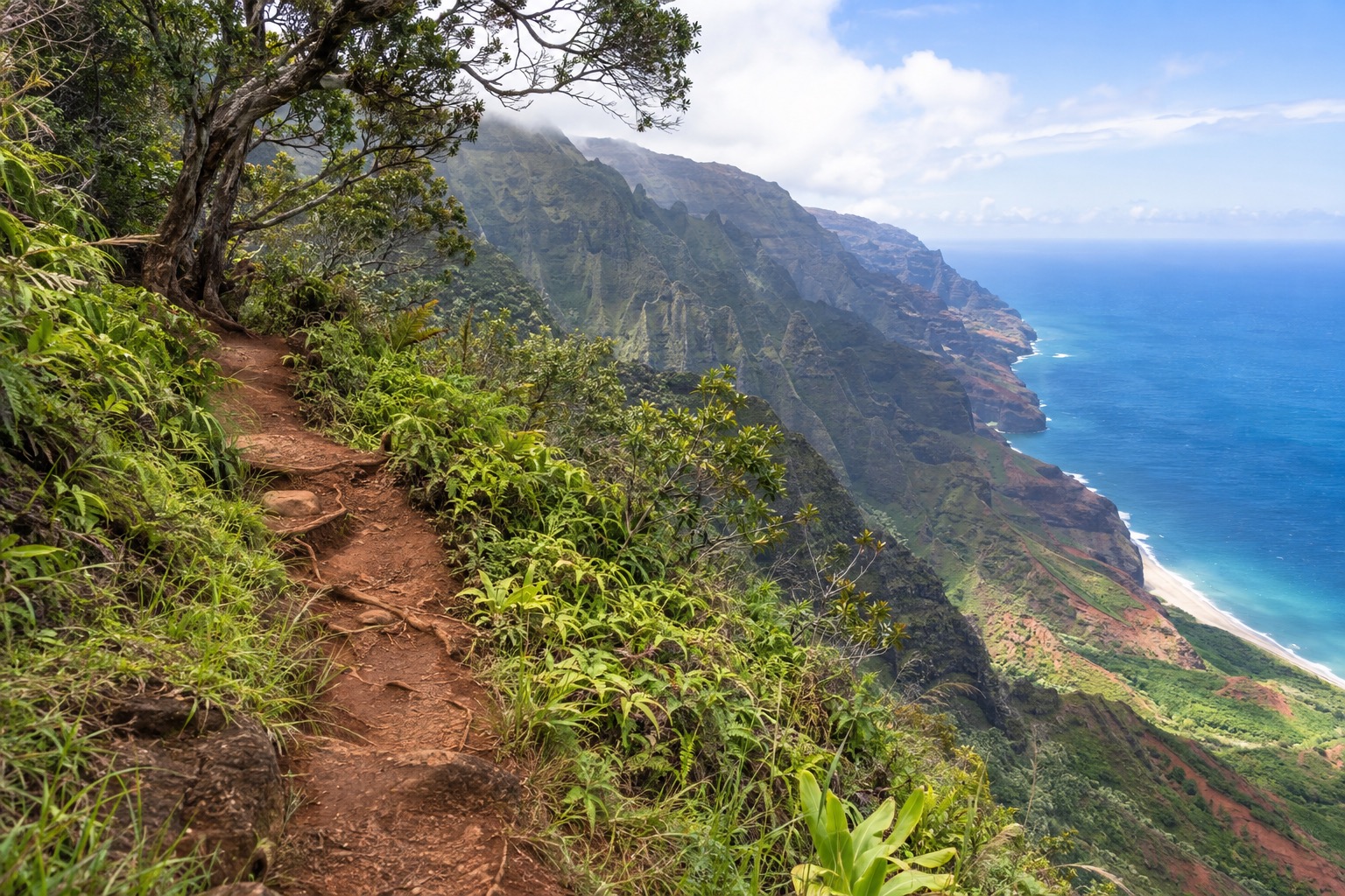 A narrow forested lookout trail along the rim of Kokee State Park