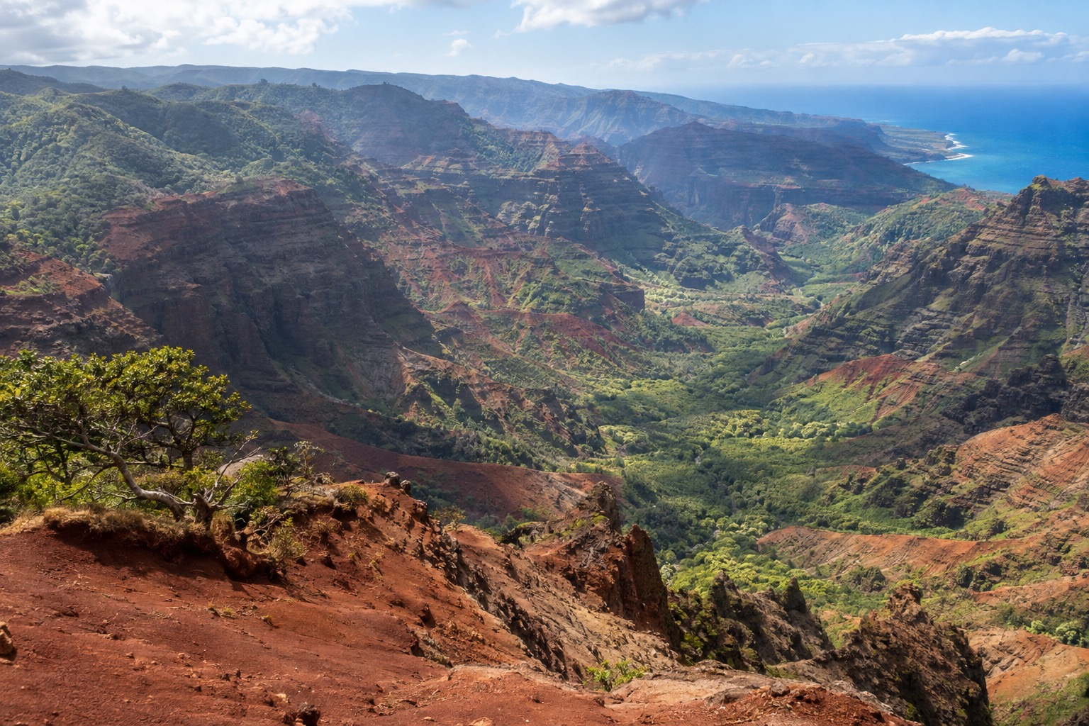 Waimea Canyon's red-rock gorge and layered cliffs viewed from an overlook on the rim