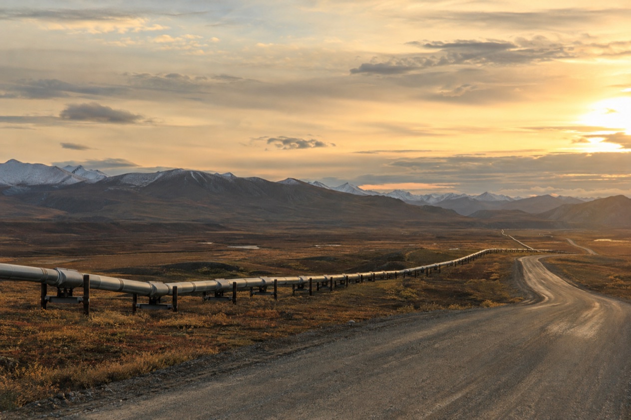 The tundra of Arctic Alaska