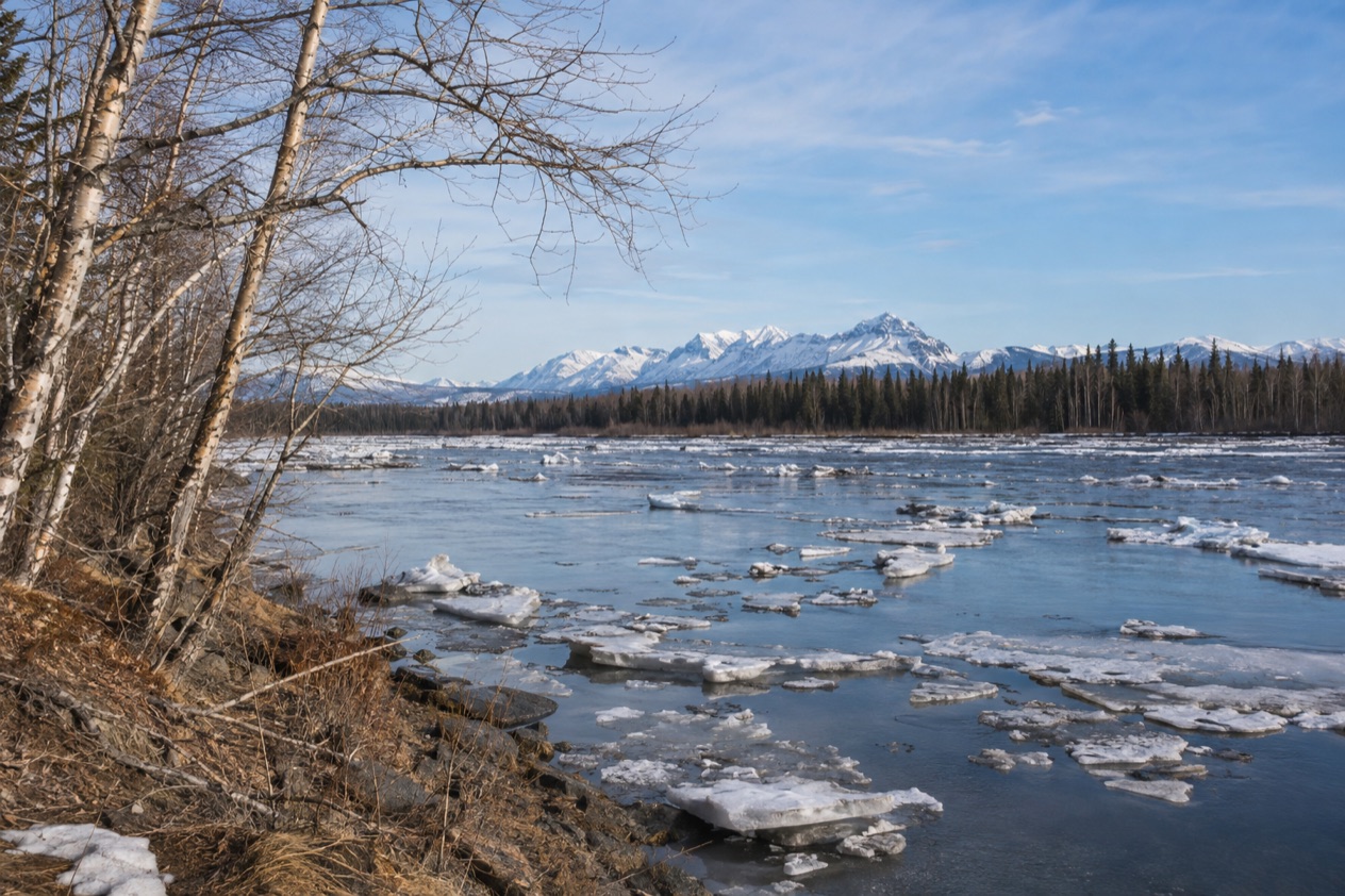 A spring thaw