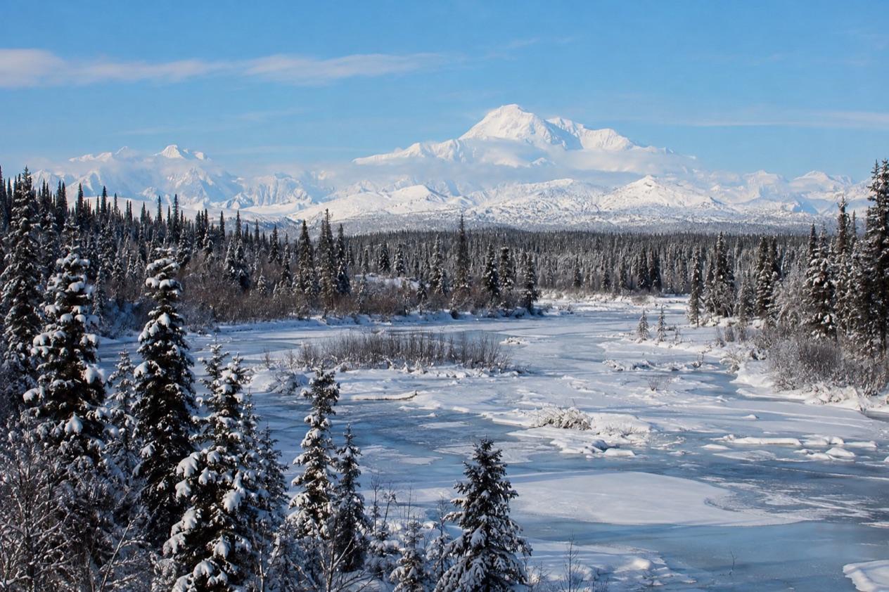 Winter near Denali