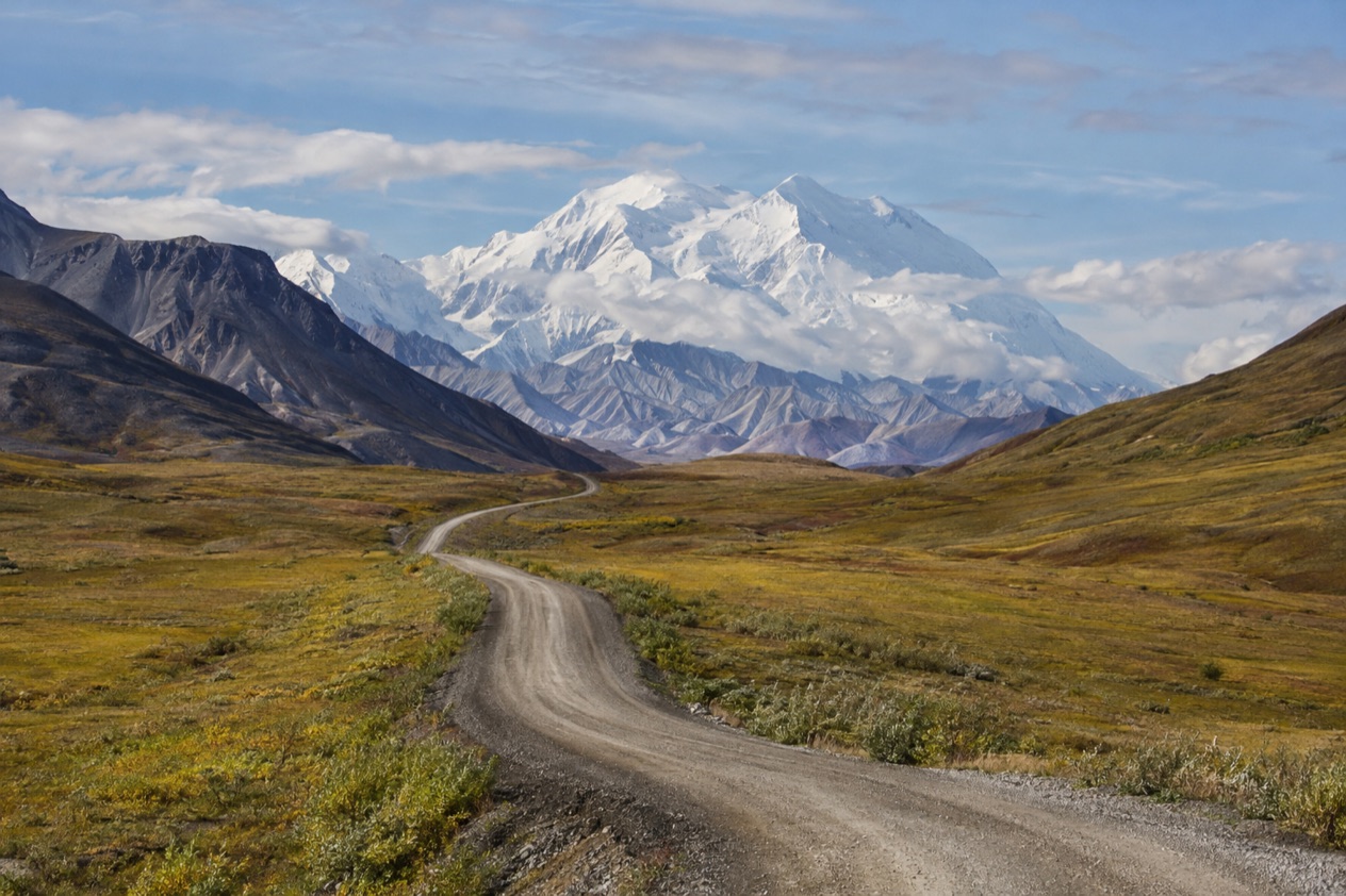 The Denali Park Road