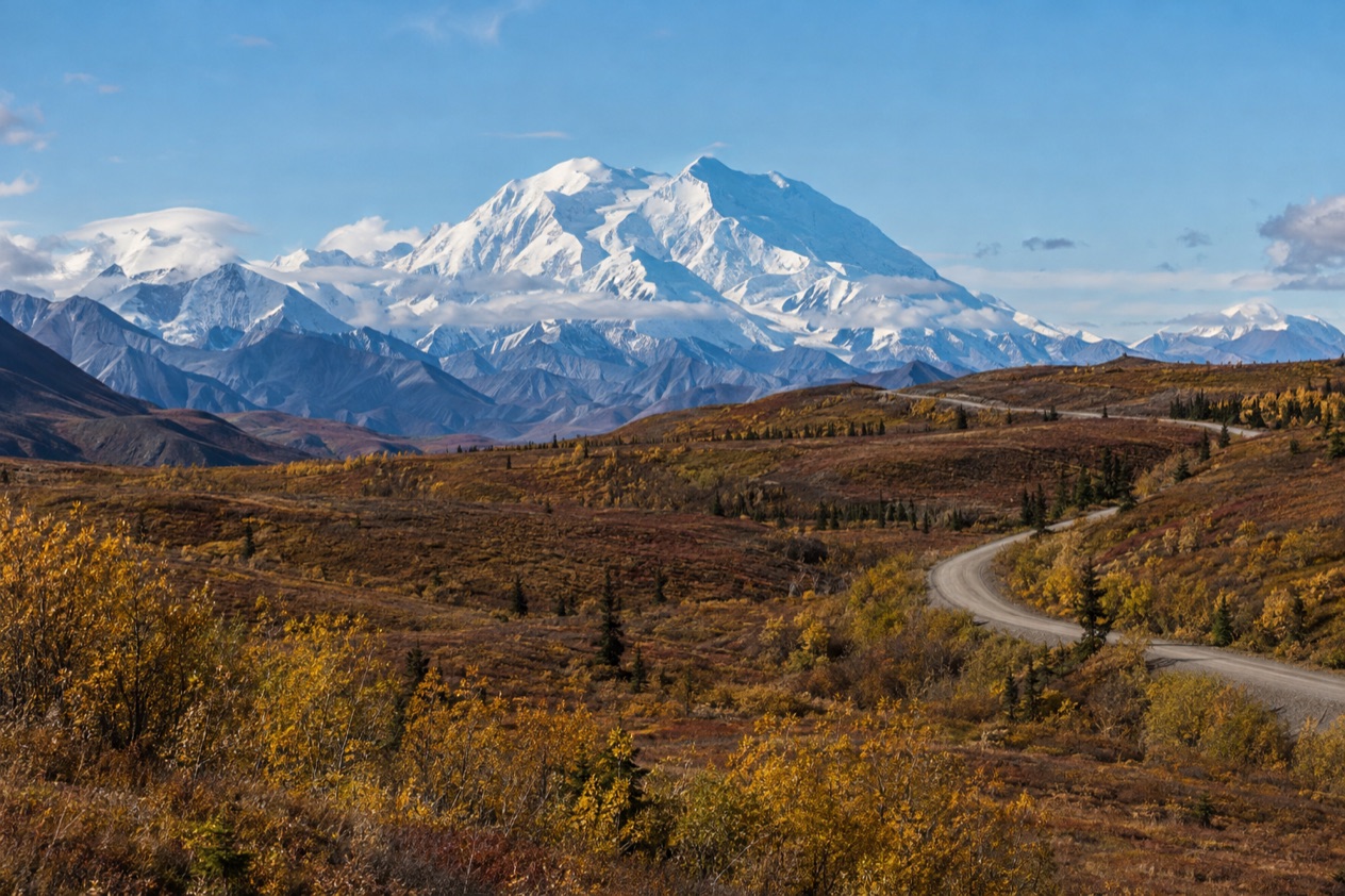 The Denali Park Road and the mountain in fall