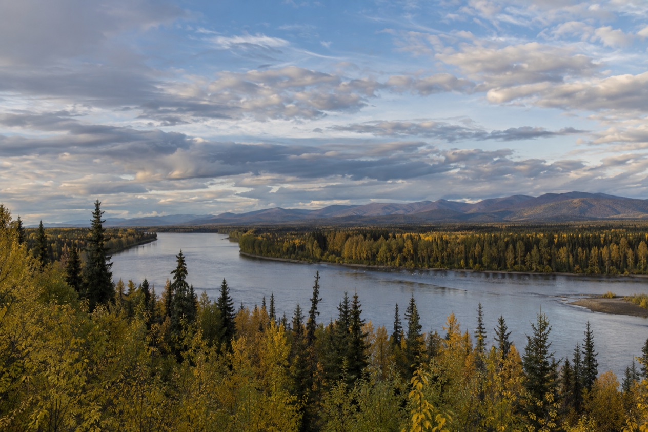 The Interior near Fairbanks