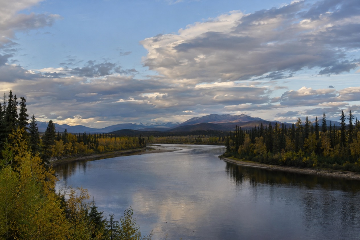 The Interior near Fairbanks
