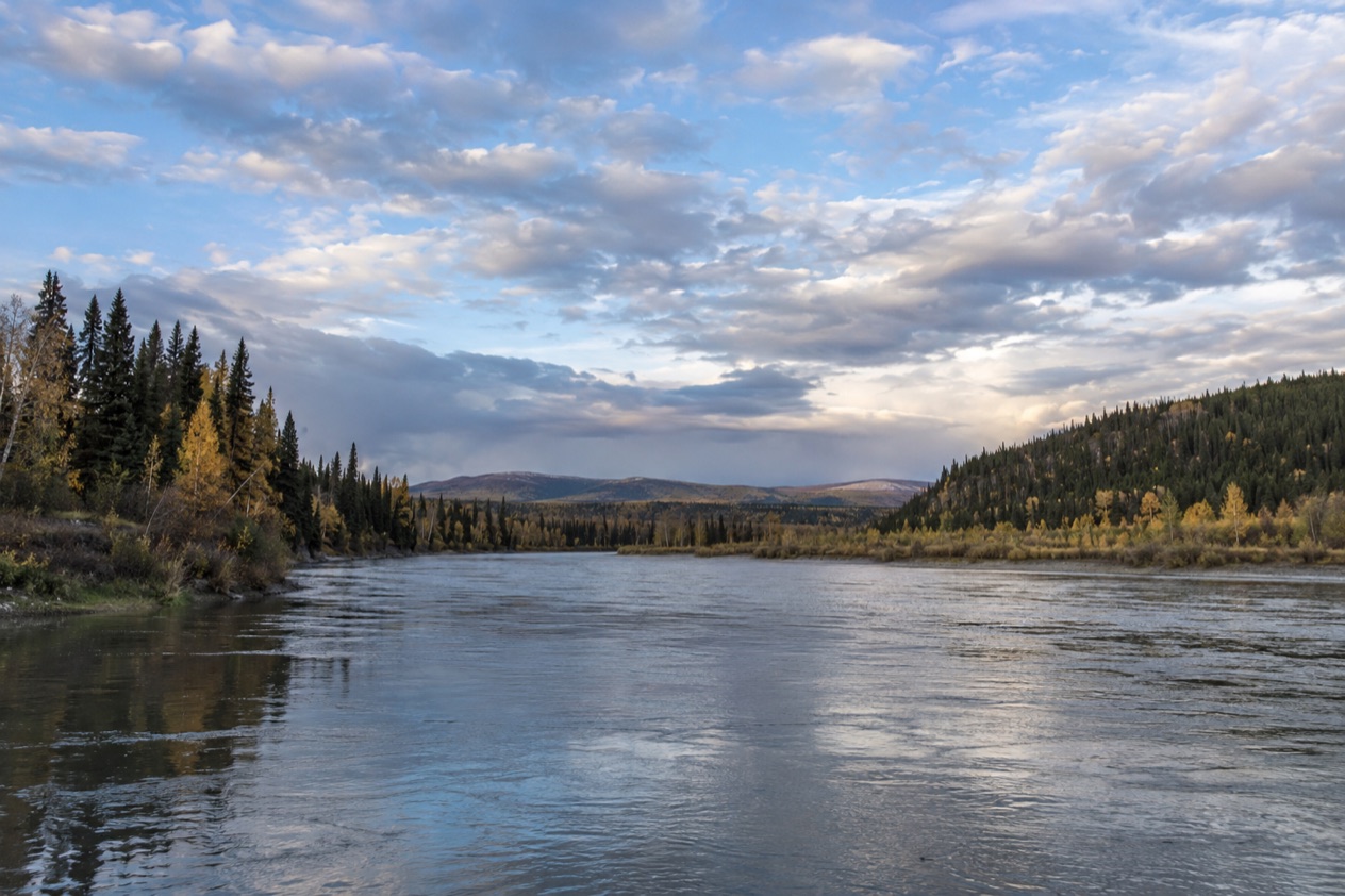 The Interior near Fairbanks