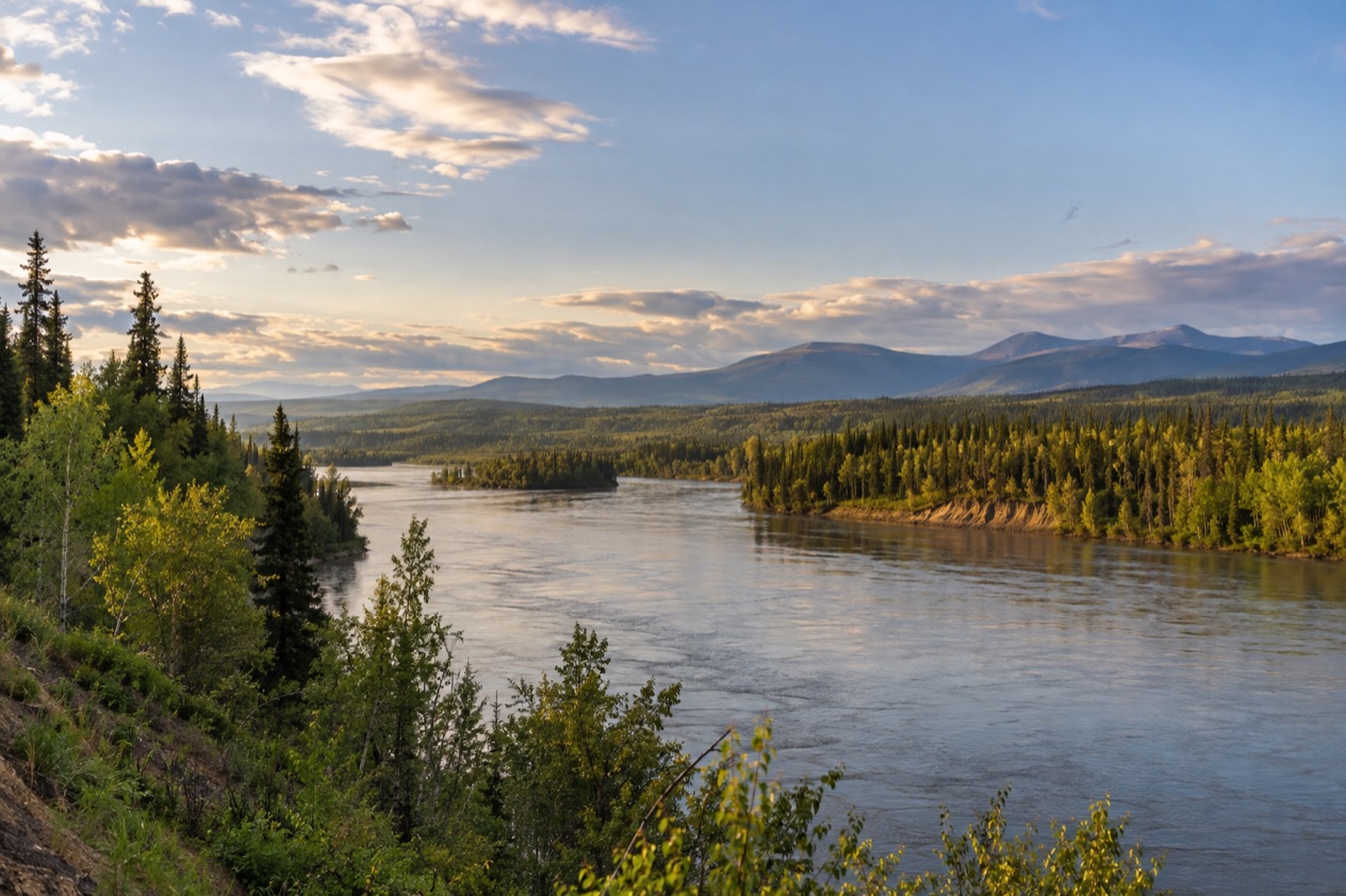 The Interior near Fairbanks in late summer