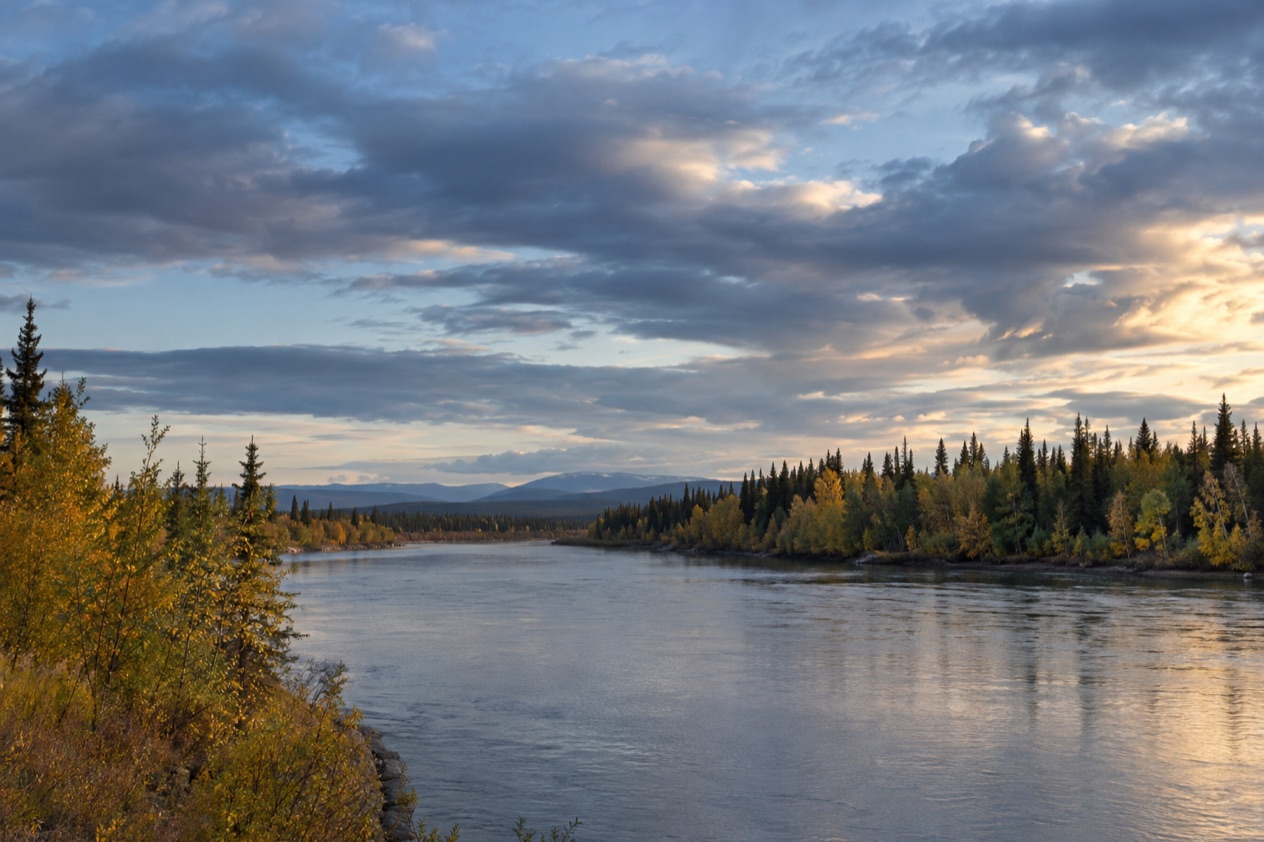 The Interior near Fairbanks