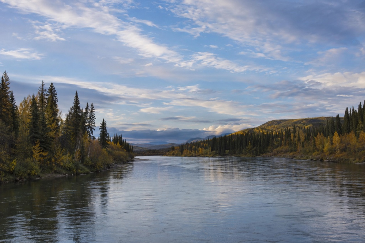 The Interior near Fairbanks