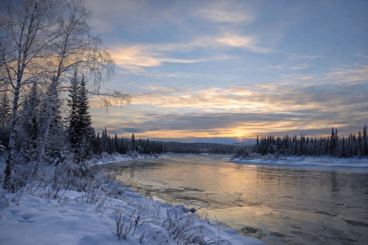 The Interior near Fairbanks in winter