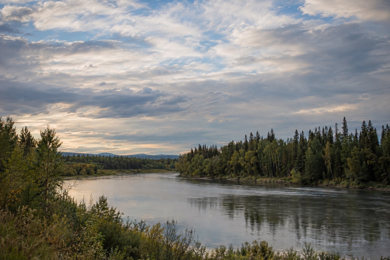 The Interior near Fairbanks