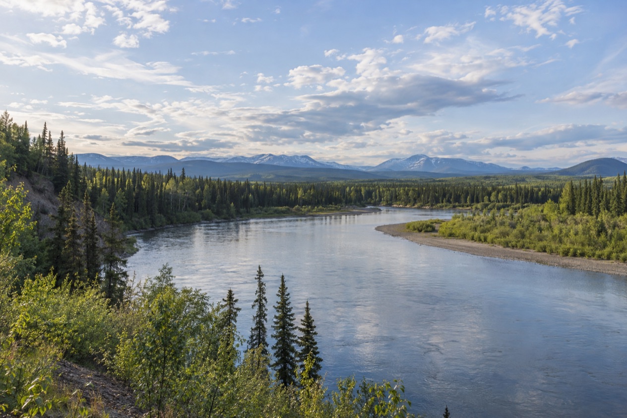 The Interior near Fairbanks in summer