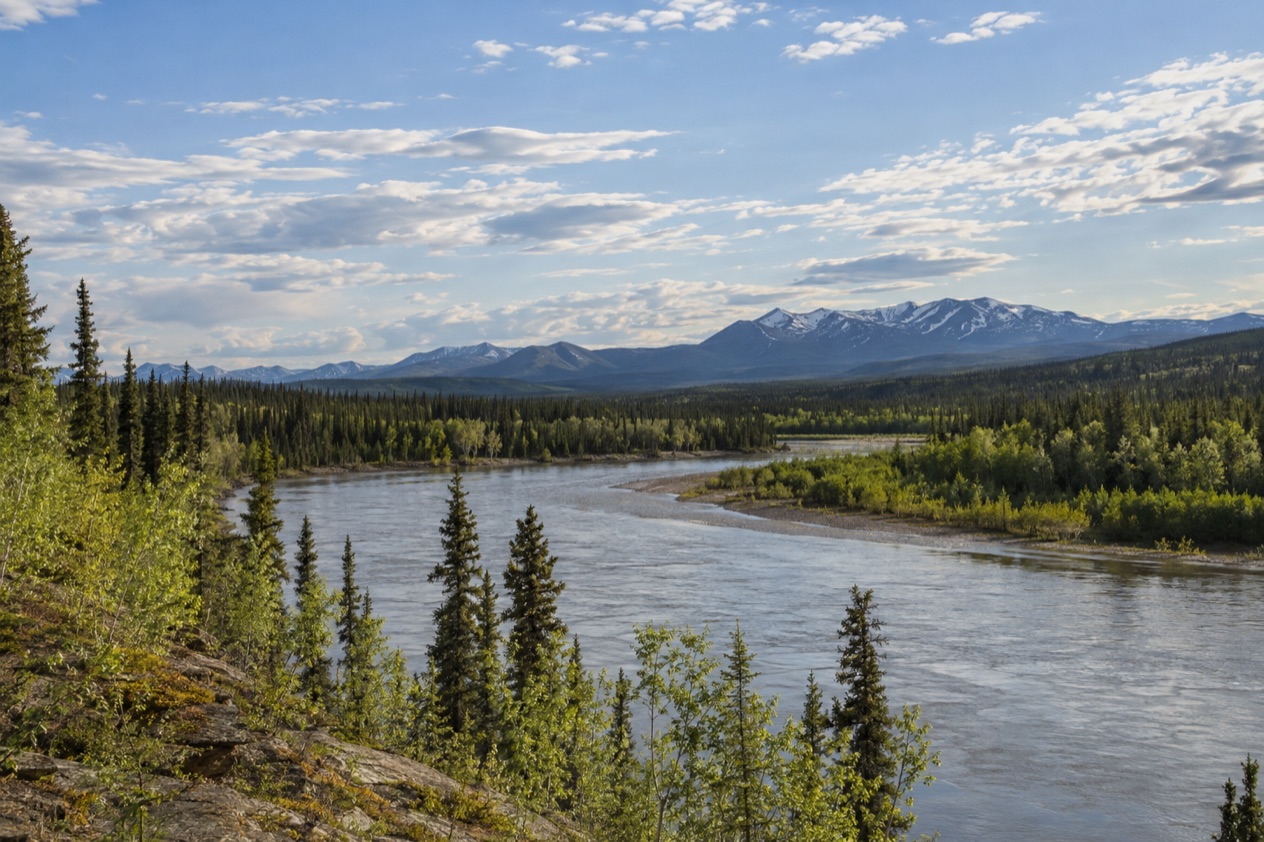 The Interior near Fairbanks in summer