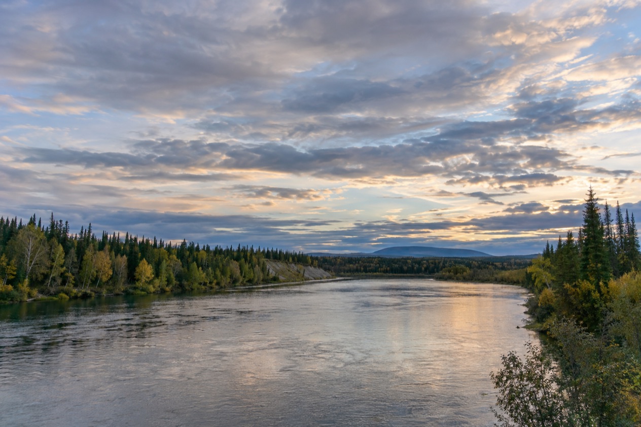 The Interior near Fairbanks