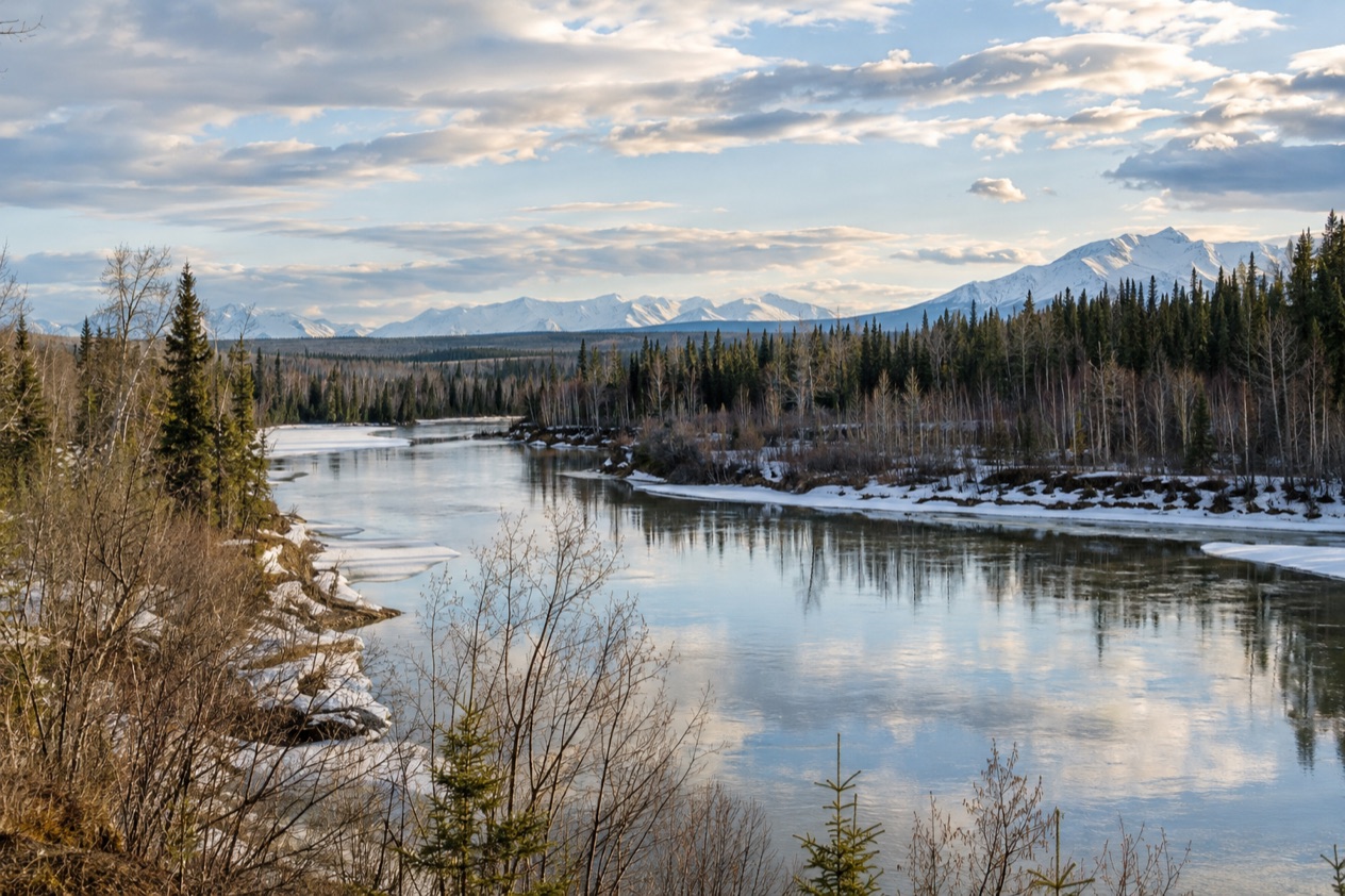 The Interior near Fairbanks in spring