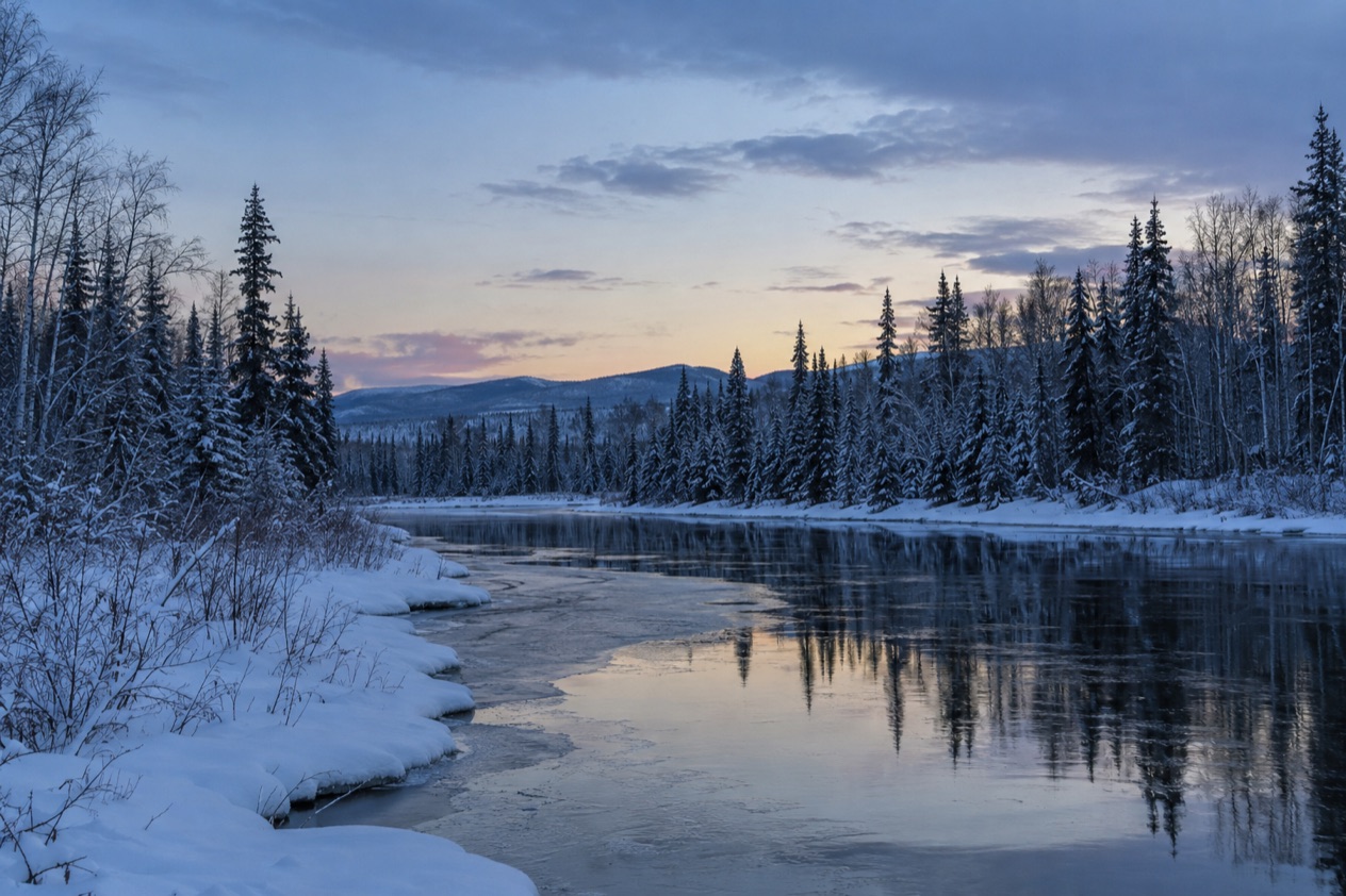 The Interior near Fairbanks in early winter