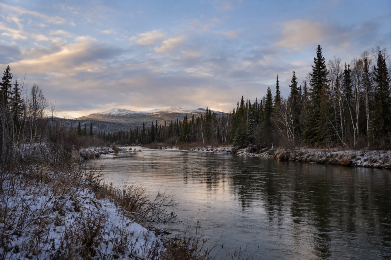 The Interior near Fairbanks in late fall