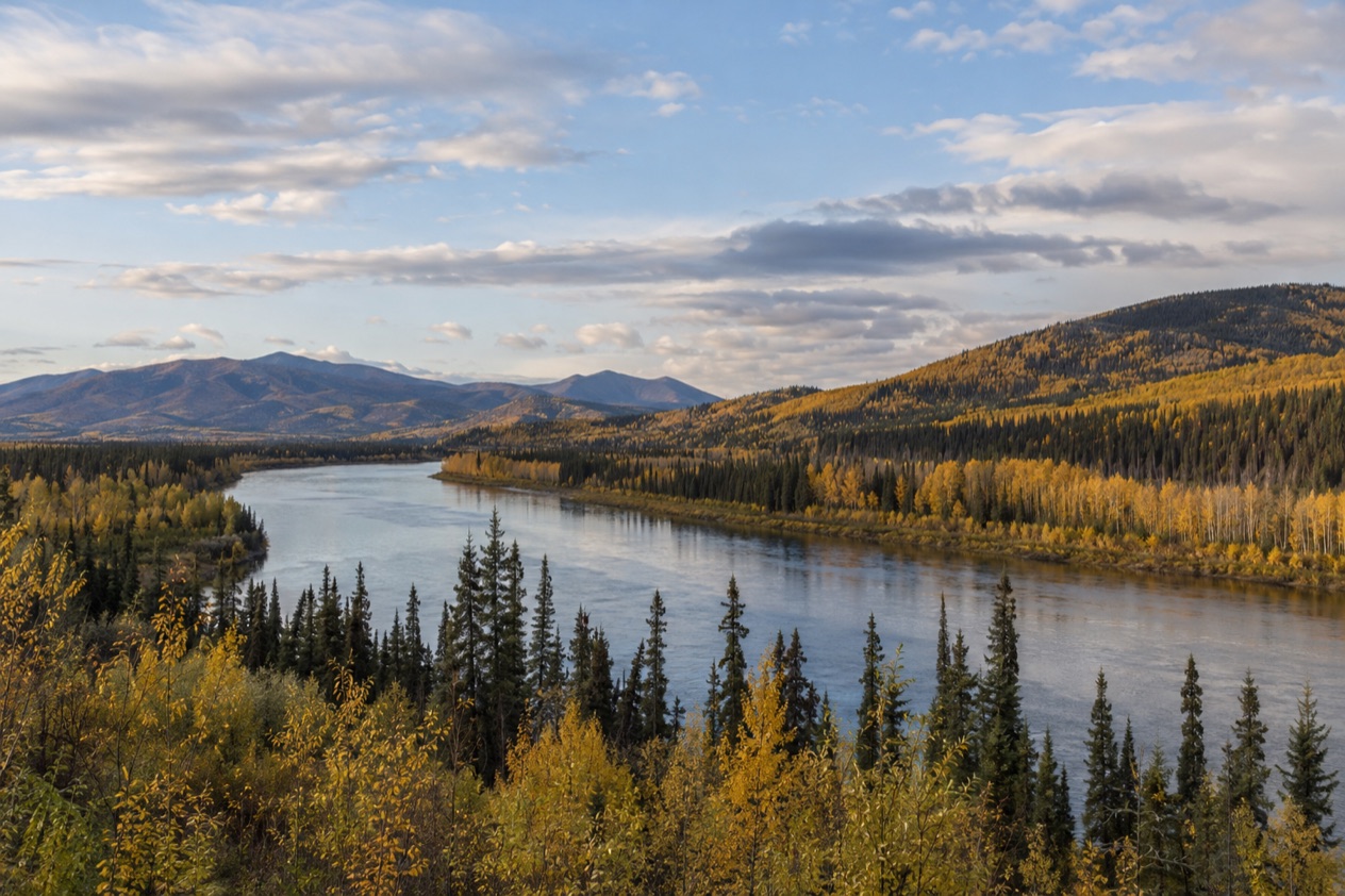 The Interior near Fairbanks in fall
