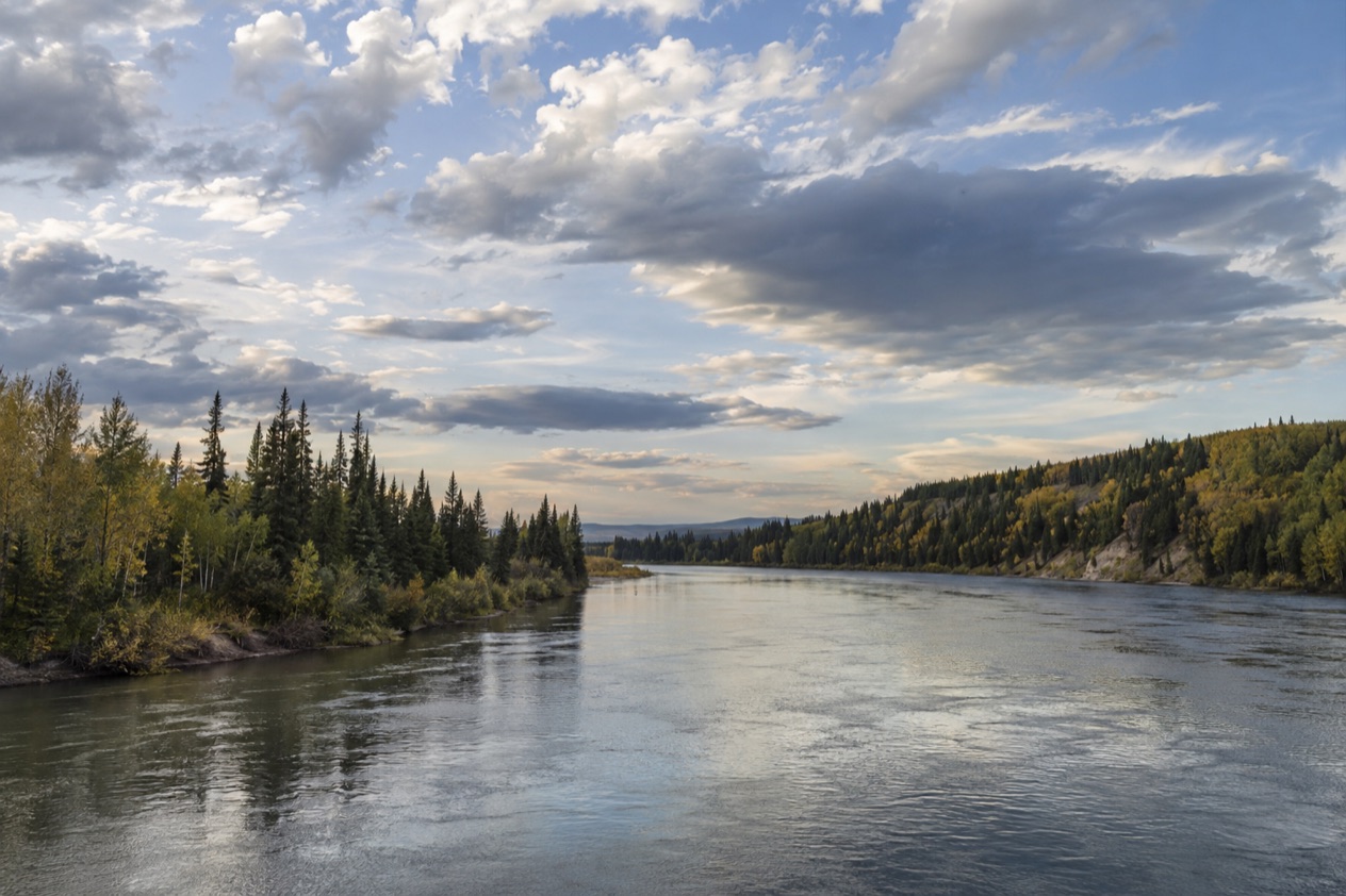 The Interior near Fairbanks