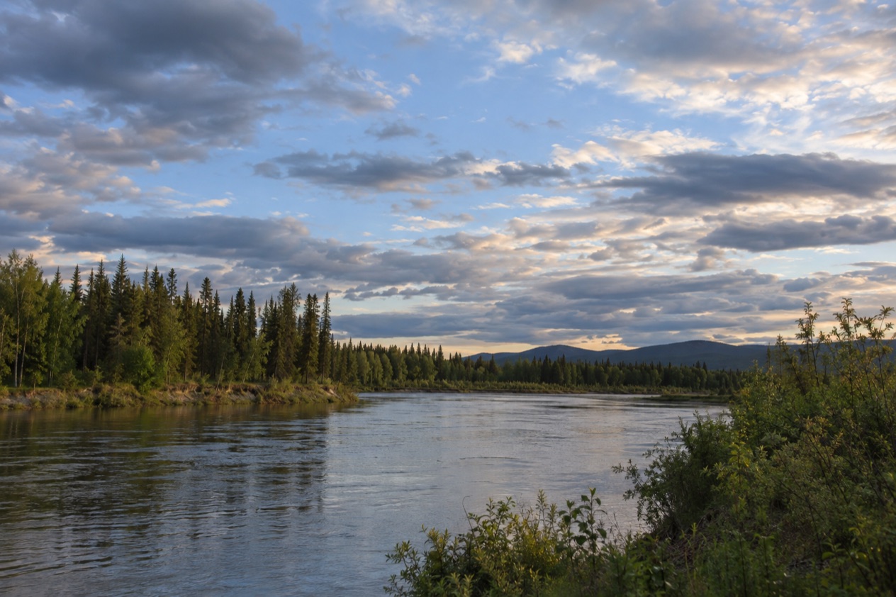The Interior near Fairbanks
