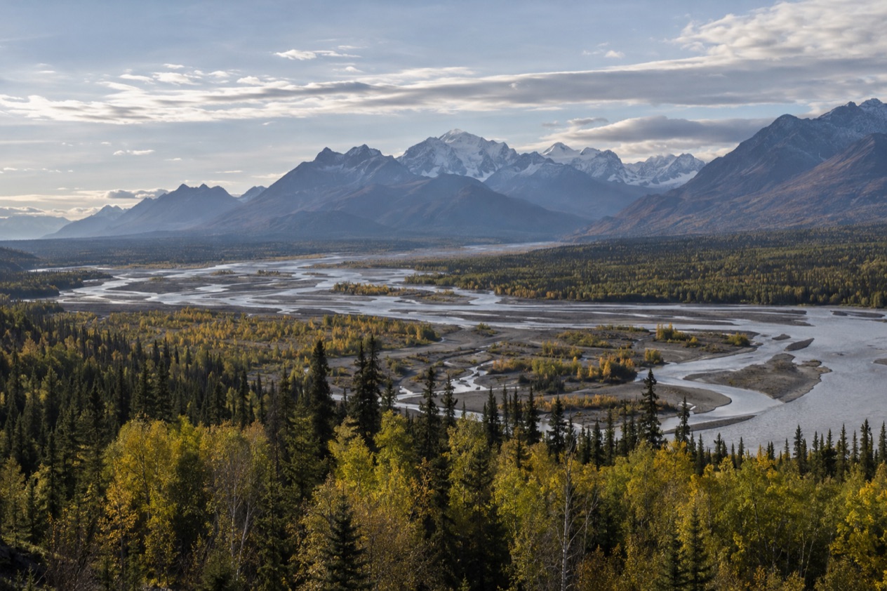 The boreal forest of the Interior
