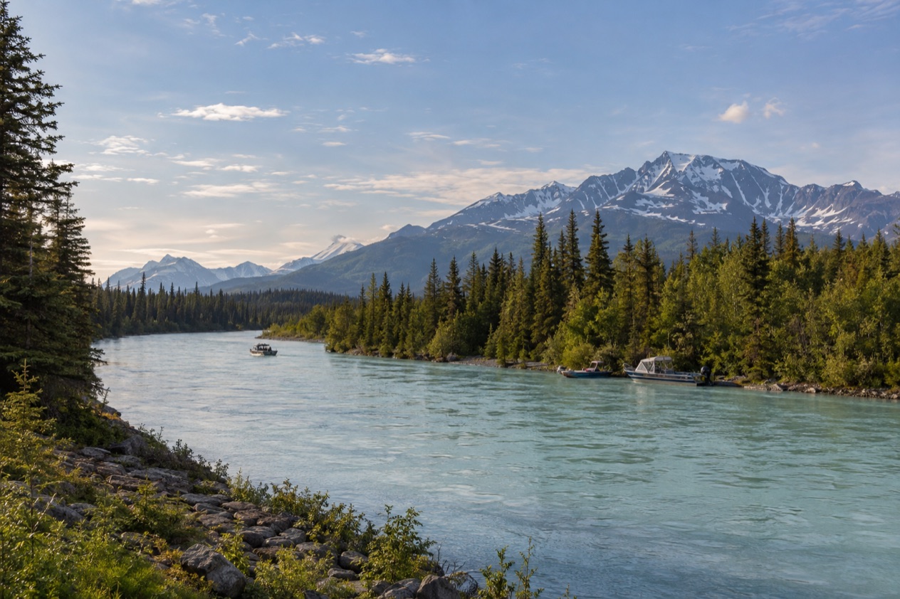 A river on the Kenai Peninsula in summer